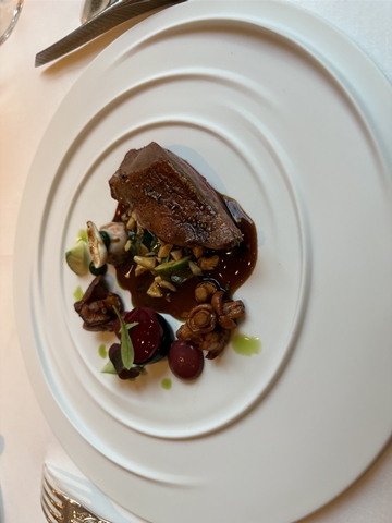 PIGEON FROM PORNIC