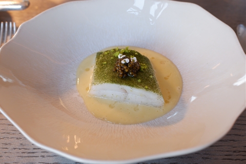Turbot