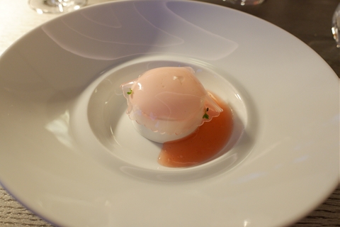 Rhubarb